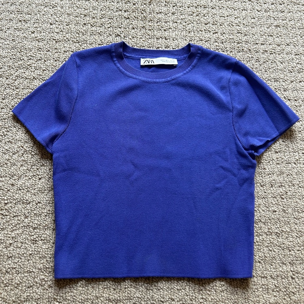 ZARA Knit Crop Top